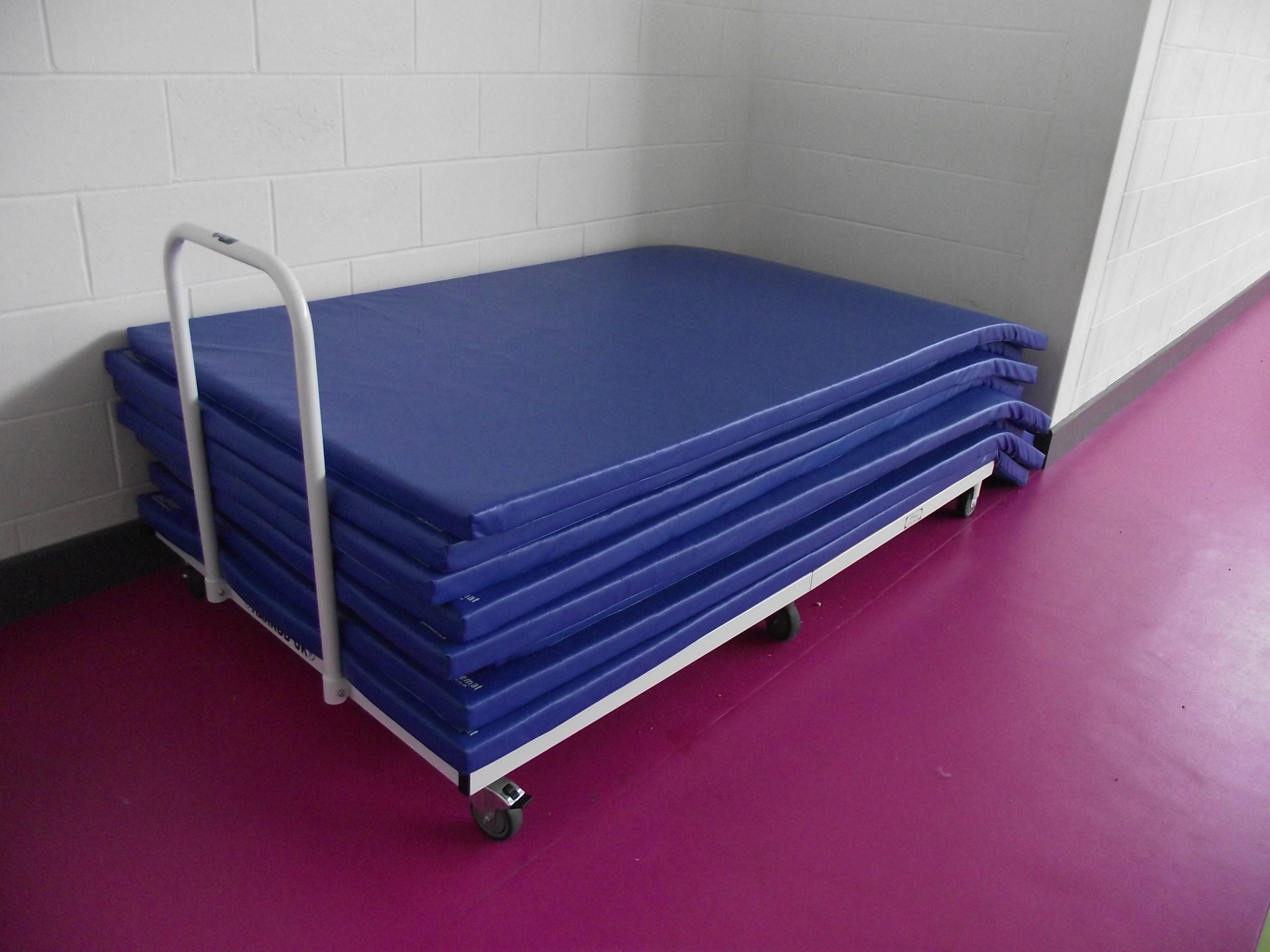 Gym mats Holy Rosary Primary SchoolHoly Rosary Primary School